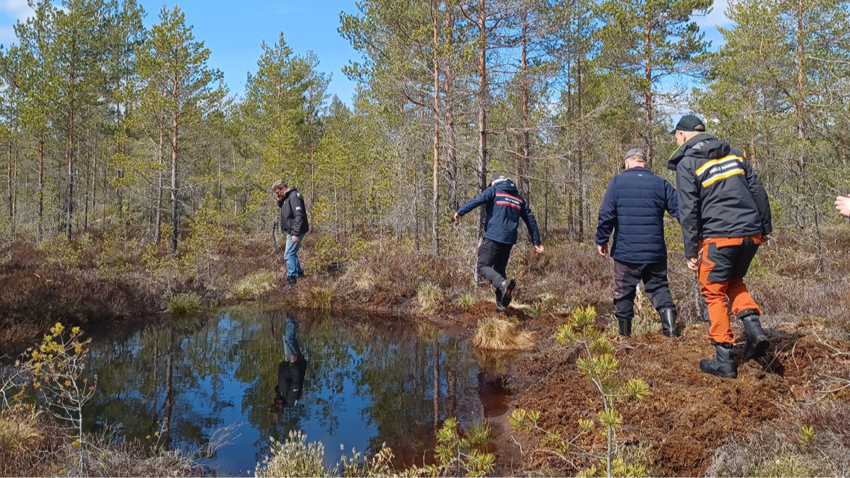 Kolme henkilöä kävelee turvepadolla suolla.